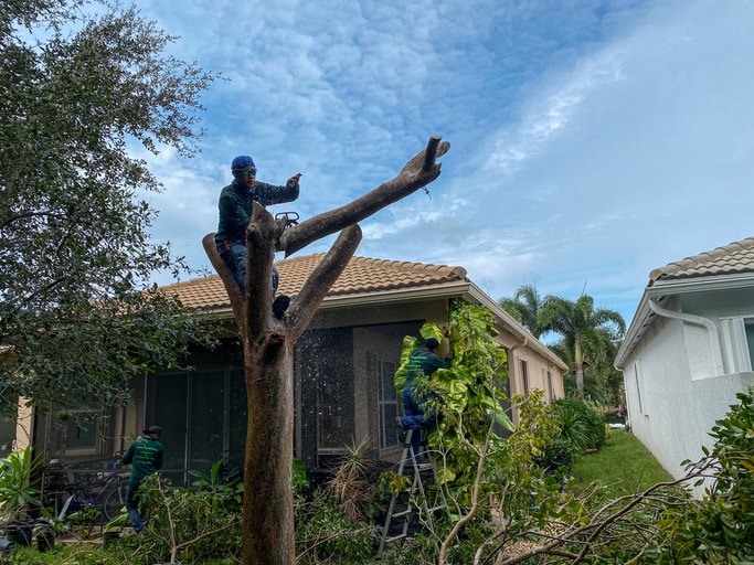 Storm Damage Restoration